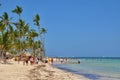 Caribbean beach with a lot of palms and white sand