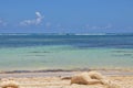 Caribbean beach with a lot of palms and white sand Royalty Free Stock Photo