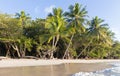 The Caribbean beach , Martinique island. Royalty Free Stock Photo