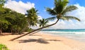 The picturesque Caribbean beach , Martinique island, french Antilles. Royalty Free Stock Photo