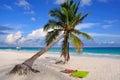 Caribbean Beach, Mexico Royalty Free Stock Photo