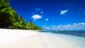 Caribbean Beach and Palm tree  .Paradise. Royalty Free Stock Photo