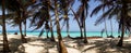 Caribbean Beach with Palm Trees on the San Blas Islands between Panama and Colombia. Royalty Free Stock Photo