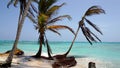 Caribbean Beach with Palm Trees on the San Blas Islands between Panama and Colombia. Royalty Free Stock Photo