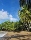 Caribbean Beach - Tobago 02