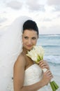 Caribbean Beach Wedding - Brid