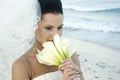 Caribbean Beach Wedding - Brid Royalty Free Stock Photo