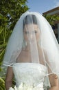 Caribbean Beach Wedding - Bride with Veil