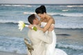 Caribbean Beach Wedding - Cele Royalty Free Stock Photo
