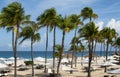 Caribbean Beachfront with Sun Umbrellas, Gazebos and Swaying Palm Trees Royalty Free Stock Photo