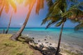 Caribbean blue sea background Royalty Free Stock Photo