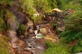 Health spa and thermal vent in the rain forest outside Roseau, Dominica