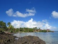 Caribbean coast with turquoise waters under tropical blue sky. West Indies. French West Indies landscape Royalty Free Stock Photo