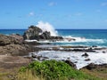 Caribbean coast with turquoise waters under tropical blue sky. West Indies. French West Indies landscape Royalty Free Stock Photo