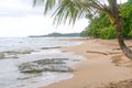 Caribbean Costa Rica Ocean Water Beach Paradise Vacation Trees Rain Forest Beautiful Turquoise Water Blue Water Amazing Beach Surf Royalty Free Stock Photo