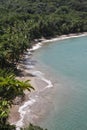Caribbean Deserted Beach View