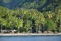 Caribbean dream beach Bar Natural Palm Forest