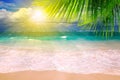 Caribbean Dream beach and palm leaf. Royalty Free Stock Photo