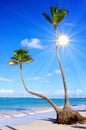 Caribbean Dream beach. Royalty Free Stock Photo