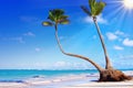 Caribbean Dream beach. Royalty Free Stock Photo