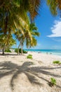 Caribbean Dream in Saona Island, Punta Cana, Dominican Republic.