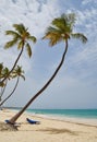 Caribbean feeling in punta cana Royalty Free Stock Photo