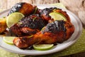 Caribbean grilled chicken drumstick with lime and onions closeup Royalty Free Stock Photo