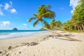 Caribbean martinique beach coconut near the Diamant Royalty Free Stock Photo