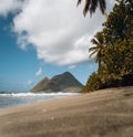 Caribbean Martinique Diamant beach with coconut palm and blue sky. Travel concept for beach vacatation. French oversea