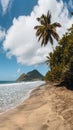 Caribbean Martinique Diamant beach with coconut palm and blue sky. Travel concept for beach vacatation. French oversea