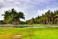 Caribbean nature in Dominican Republic