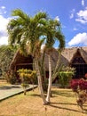 Caribbean, palm trees and building with a roof made of palm leaves Royalty Free Stock Photo