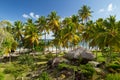 The Caribbean through palm trees Royalty Free Stock Photo