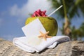 Caribbean paradise beach coconuts cocktail Royalty Free Stock Photo