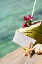 Caribbean paradise beach coconuts cocktail Royalty Free Stock Photo