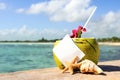 Caribbean paradise beach coconuts cocktail Royalty Free Stock Photo