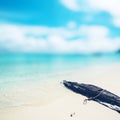 Caribbean paradise beach Royalty Free Stock Photo