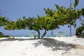 Caribbean public beach