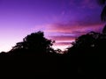 Caribbean purple sunset in Guadeloupe Royalty Free Stock Photo