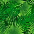 Caribbean repeated background. Tropical rainforest vector illustration. Amazon seamless pattern with exotic tropic palms