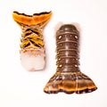 Caribbean rock lobster tails on a white background. Royalty Free Stock Photo