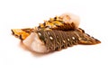 Caribbean rock lobster tails on a white background. Royalty Free Stock Photo