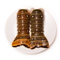 Caribbean rock lobster tails on a white background.