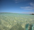 caribbean sea and beach in petite terre with blue fins Royalty Free Stock Photo