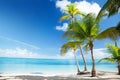 Caribbean sea and palms Royalty Free Stock Photo