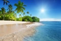 Caribbean sea and palms Royalty Free Stock Photo