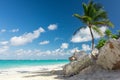 Caribbean sea palms and stone at daylight Royalty Free Stock Photo