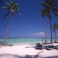 Caribbean sea tropical island with crystal clear waters and palm trees beaches without people Royalty Free Stock Photo