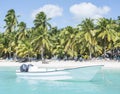 Caribbean sea with turquoise water and palms close to Saona island Royalty Free Stock Photo