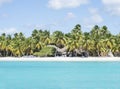 Caribbean sea with turquoise water and palms close to Saona island Royalty Free Stock Photo